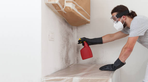 Professional Crawl Space Mold Removal technician working in Goldston, NC