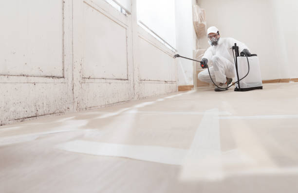24/7 Emergency Crawl Space Mold Removal experts in Goldston, NC