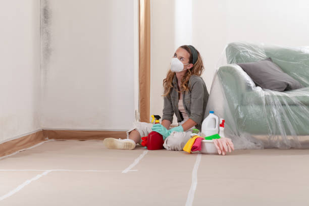 Reliable Crawl Space Mold Removal contractor in Goldston, NC by WQB Mold Removal
