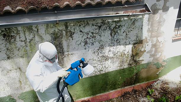 Top rated local Crawl Space Mold Removal specialists in Goldston, NC